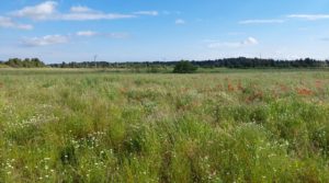 Vendemos Magnífica finca en Valderrobres, capital del Matarraña, de 7’8 hectáreas. con accesos asfaltados por 139.000€