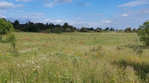 Se vende Magnífica finca en Valderrobres, capital del Matarraña, de 7’8 hectáreas. con accesos asfaltados