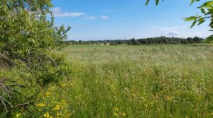 Se vende Magnífica finca en Valderrobres, capital del Matarraña, de 7’8 hectáreas. con accesos asfaltados por 139.000€