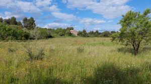 Magnífica finca en Valderrobres, capital del Matarraña, de 7’8 hectáreas. a buen precio con agua por 139.000€