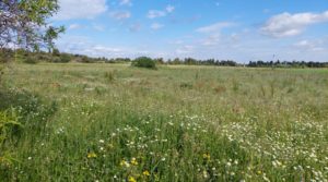 Magnífica finca en Valderrobres, capital del Matarraña, de 7’8 hectáreas. en venta con accesos asfaltados