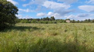Magnífica finca en Valderrobres, capital del Matarraña, de 7’8 hectáreas. en venta con accesos asfaltados