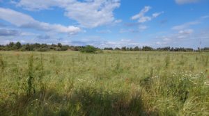 Detalle de Magnífica finca en Valderrobres, capital del Matarraña, de 7’8 hectáreas. con accesos asfaltados por 139.000€