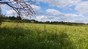 Magnífica finca en Valderrobres, capital del Matarraña, de 7’8 hectáreas. en venta con agua por 139.000€