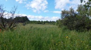 Se vende Magnífica finca en Valderrobres, capital del Matarraña, de 7’8 hectáreas. con agua