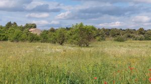 Magnífica finca en Valderrobres, capital del Matarraña, de 7’8 hectáreas. a buen precio con accesos asfaltados por 139.000€