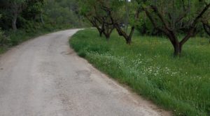 Magnífica finca en Valderrobres, capital del Matarraña, de 7’8 hectáreas. en venta con agua