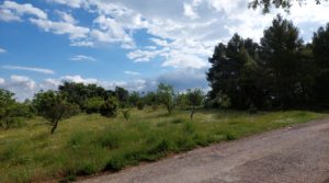 Magnífica finca en Valderrobres, capital del Matarraña, de 7’8 hectáreas. en oferta con accesos asfaltados