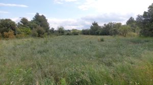 Magnífica finca en Valderrobres, capital del Matarraña, de 7’8 hectáreas. en oferta con accesos asfaltados por 139.000€