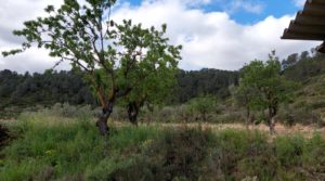 Magnífica finca en Valderrobres, capital del Matarraña, de 7’8 hectáreas. en oferta con accesos asfaltados por 139.000€