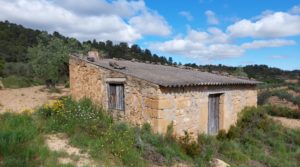 Vendemos Finca olivarera en Mazaleón, con almendros en plena producción. con buen acceso por 52.000€