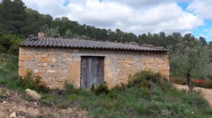Vendemos Finca olivarera en Mazaleón, con almendros en plena producción. con hermosas vistas por 52.000€