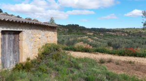 Vendemos Finca olivarera en Mazaleón, con almendros en plena producción. con hermosas vistas