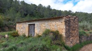 Finca olivarera en Mazaleón, con almendros en plena producción. a buen precio con hermosas vistas por 52.000€