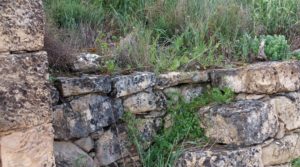 Finca olivarera en Mazaleón, con almendros en plena producción. en oferta con mucha privacidad por 52.000€