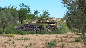 Vendemos Finca olivarera en Mazaleón, con almendros en plena producción. con hermosas vistas