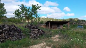 Finca olivarera en Mazaleón, con almendros en plena producción. en venta con hermosas vistas
