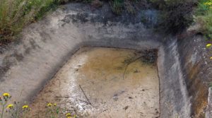 Finca olivarera en Mazaleón, con almendros en plena producción. en venta con buen acceso