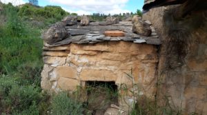 Se vende Finca olivarera en Mazaleón, con almendros en plena producción. con mucha privacidad
