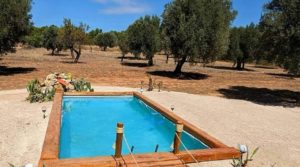 Finca en Arens de Lledó, con olivos y almendros.