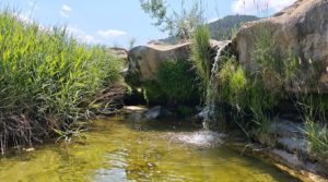 Finca en Arens de Lledó, con olivos y almendros. en venta con piscina
