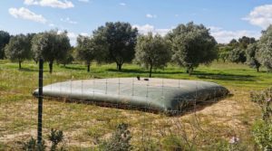 Se vende Finca en Arens de Lledó, con olivos y almendros. con piscina