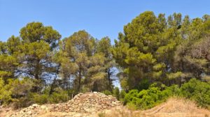 Finca en Arens de Lledó, con olivos y almendros. a buen precio con piscina