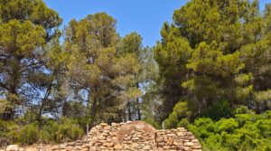 Se vende Finca en Arens de Lledó, con olivos y almendros. con piscina por 160.000€