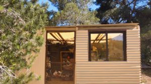 Vendemos Finca en Arens de Lledó, con olivos y almendros. con piscina