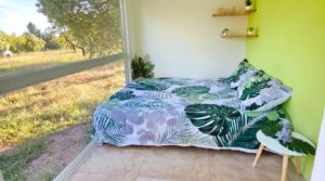 Finca en Arens de Lledó, con olivos y almendros. en oferta con piscina