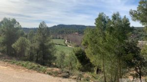 Foto de Gran propiedad en Torre del Compte, muy cerca del río Matarraña. en venta