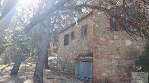 Se vende Gran propiedad en Torre del Compte, muy cerca del río Matarraña.