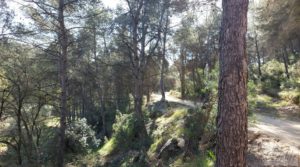 Se vende Gran propiedad en Torre del Compte, muy cerca del río Matarraña.