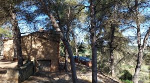Gran propiedad en Torre del Compte, muy cerca del río Matarraña. a buen precio por 450.000€