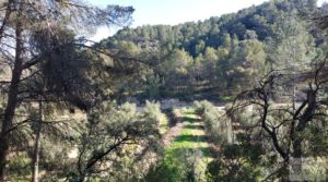 Detalle de Gran propiedad en Torre del Compte, muy cerca del río Matarraña. por 450.000€