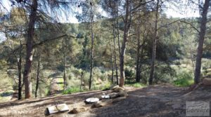 Vendemos Gran propiedad en Torre del Compte, muy cerca del río Matarraña.