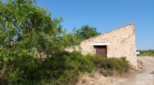 Vendemos Finca de 7 hectáreas en Els Guiamets, comarca del Montsant-Priorat. con almacén