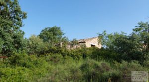 Foto de Finca de 7 hectáreas en Els Guiamets, comarca del Montsant-Priorat. en venta con almacén