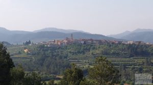 Detalle de Finca de 7 hectáreas en Els Guiamets, comarca del Montsant-Priorat. con almacén