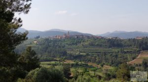 Foto de Finca de 7 hectáreas en Els Guiamets, comarca del Montsant-Priorat. con almacén por 96.000€