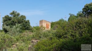Detalle de Finca de 7 hectáreas en Els Guiamets, comarca del Montsant-Priorat. con olivos y frutales