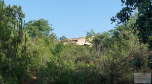Finca de 7 hectáreas en Els Guiamets, comarca del Montsant-Priorat. en oferta con olivos y frutales