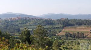 Detalle de Finca de 7 hectáreas en Els Guiamets, comarca del Montsant-Priorat. con almacén