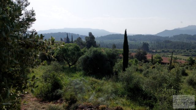 Finca de 7 hectáreas en Els Guiamets, comarca del Montsant-Priorat. Finca de 7 hectáreas en Els Guiamets, comarca del Montsant-Priorat.