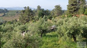 Finca de 7 hectáreas en Els Guiamets, comarca del Montsant-Priorat. para vender con almacén
