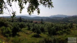 Finca de 7 hectáreas en Els Guiamets, comarca del Montsant-Priorat. en oferta con almacén