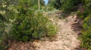Foto de Finca de 7 hectáreas en Els Guiamets, comarca del Montsant-Priorat. con almacén