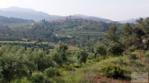 Finca de 7 hectáreas en Els Guiamets, comarca del Montsant-Priorat. en venta con almacén por 96.000€