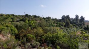 Finca de 7 hectáreas en Els Guiamets, comarca del Montsant-Priorat. para vender con almacén