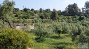 Se vende Finca de 7 hectáreas en Els Guiamets, comarca del Montsant-Priorat. con olivos y frutales